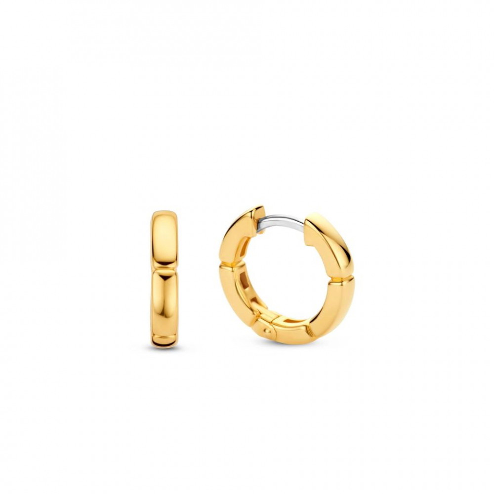 Ti Sento Auskari W74067724 | GOLDLIGHT