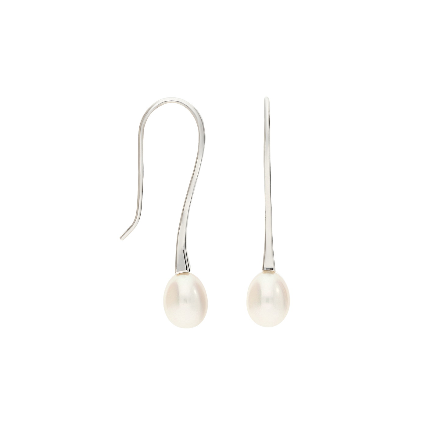 GOLDLIGHT Auskari W80366604 | GOLDLIGHT