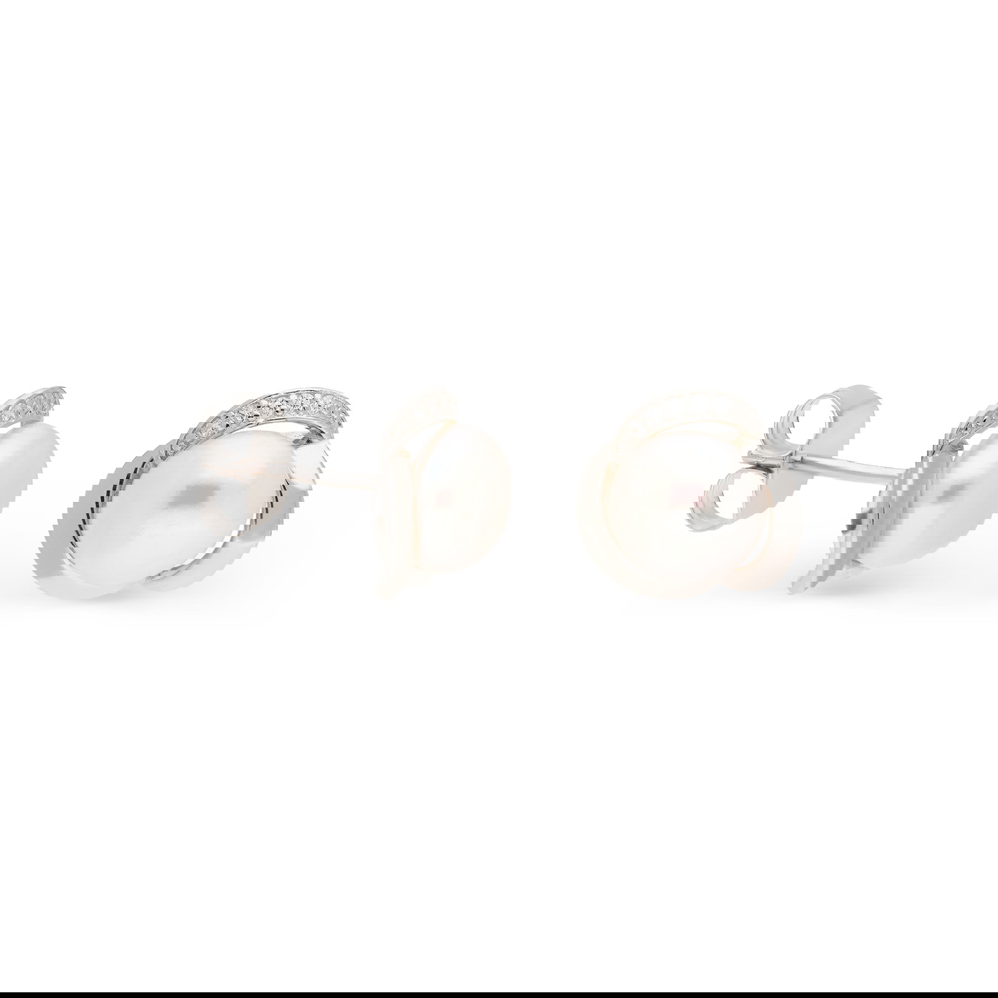 GOLDLIGHT Auskari W82438334 | GOLDLIGHT