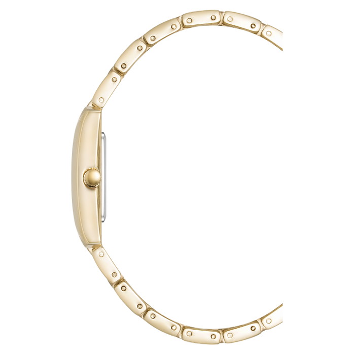 Anne Klein Pulkstenis W75031242 | GRENARDI