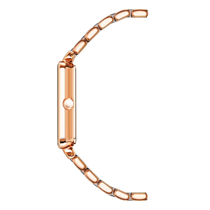 Anne Klein Pulkstenis W61791721 | GRENARDI