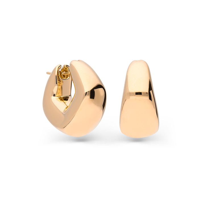 Superoro Auskarai W79097379 | GRENARDI