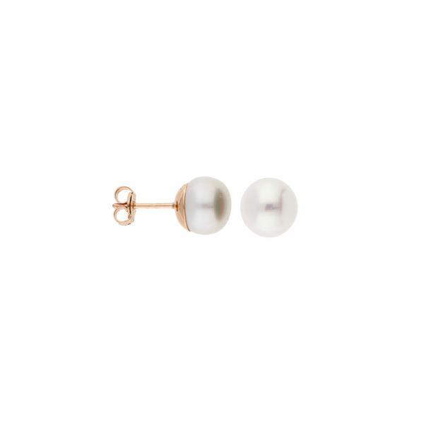 GOLDLIGHT Auskari W85225477 | GOLDLIGHT