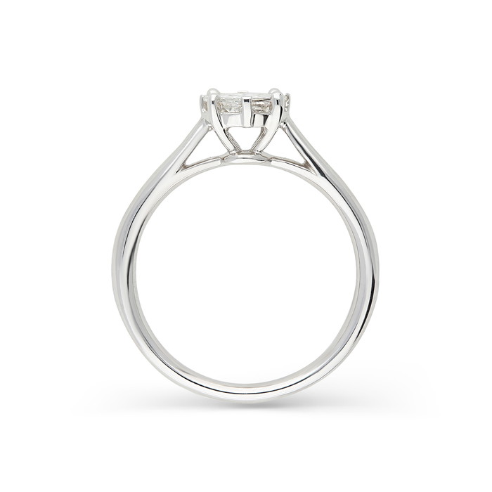 Due Rings W72047829 | GRENARDI