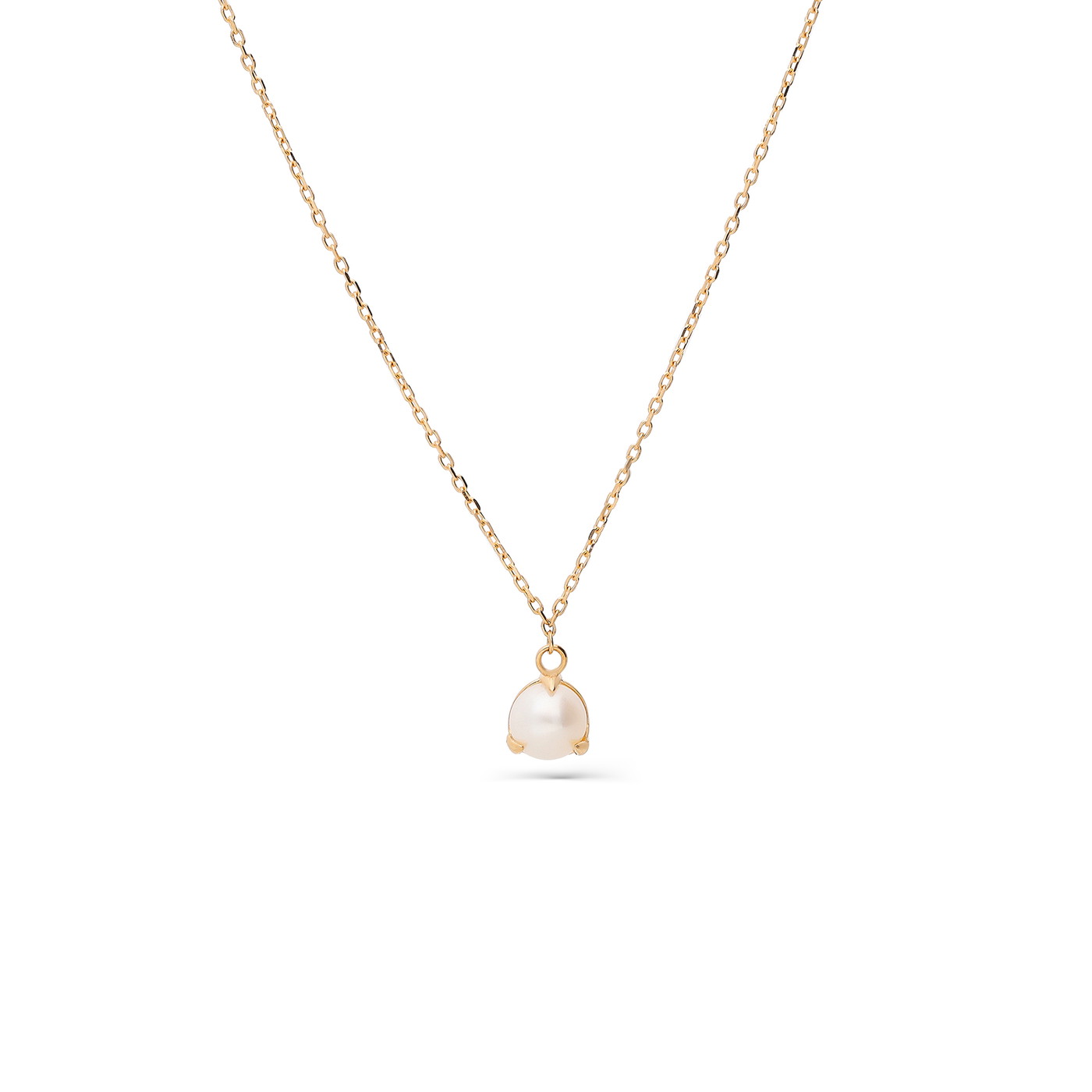 GOLDLIGHT Kaklarota W74056337 | GOLDLIGHT