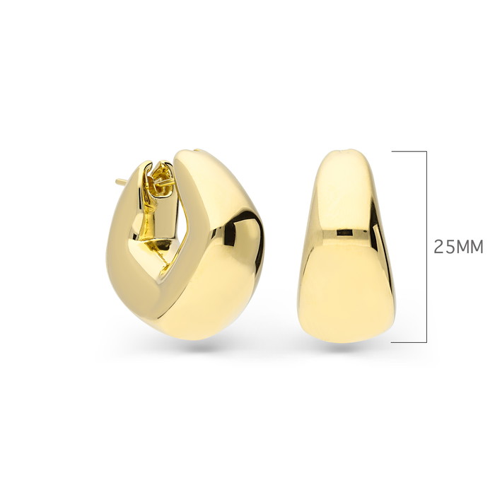 Superoro Auskarai W70441036 | GRENARDI