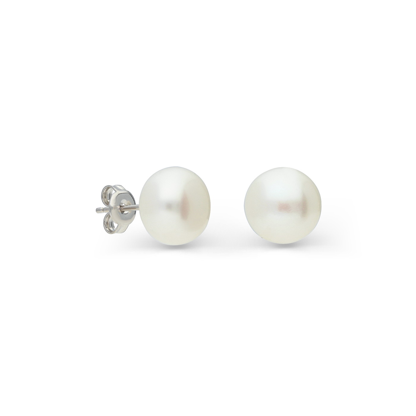 GOLDLIGHT Auskari W81899621 | GOLDLIGHT