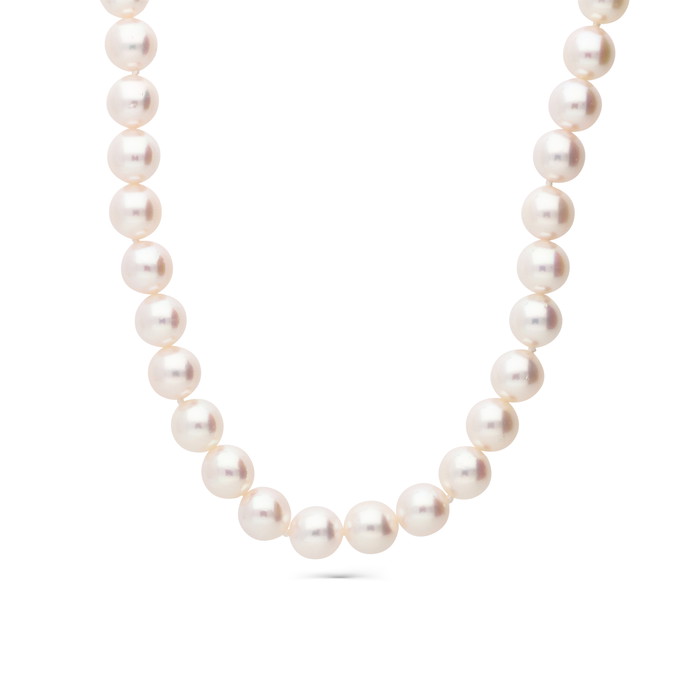 Gellner Karoliai W82950892 | GRENARDI