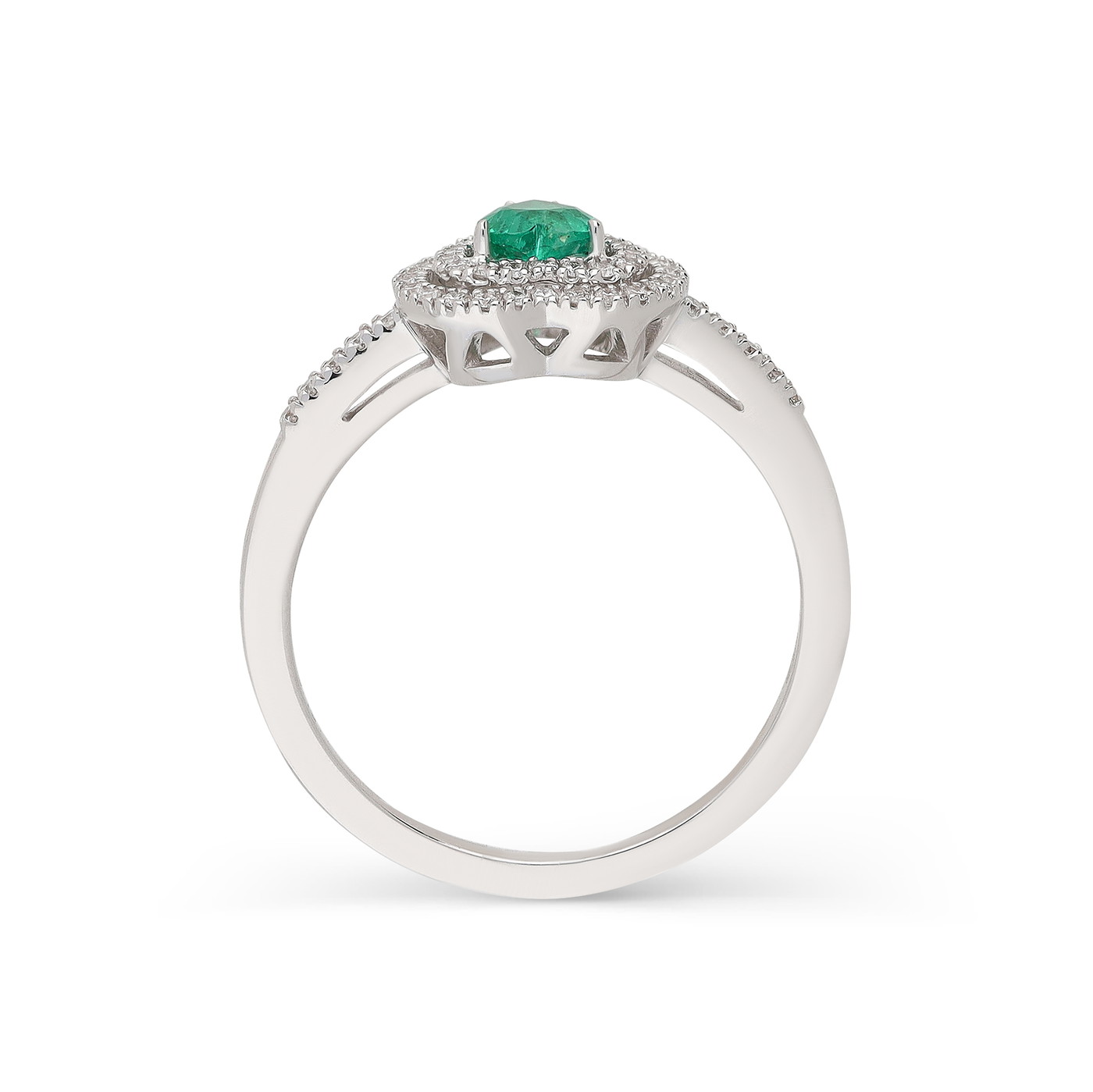 Mirco Visconti Gredzens W78330994 | GOLDLIGHT