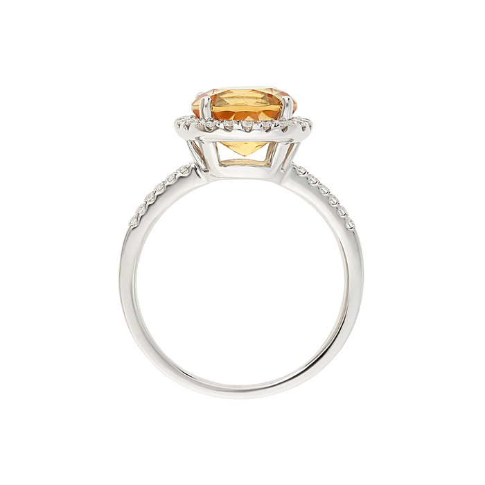 Giorgio Visconti Gredzens W55235995 | GRENARDI
