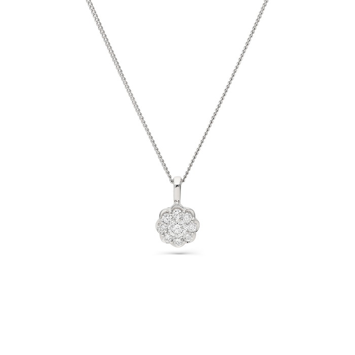 Due Vėrinys  W73899631 | GRENARDI