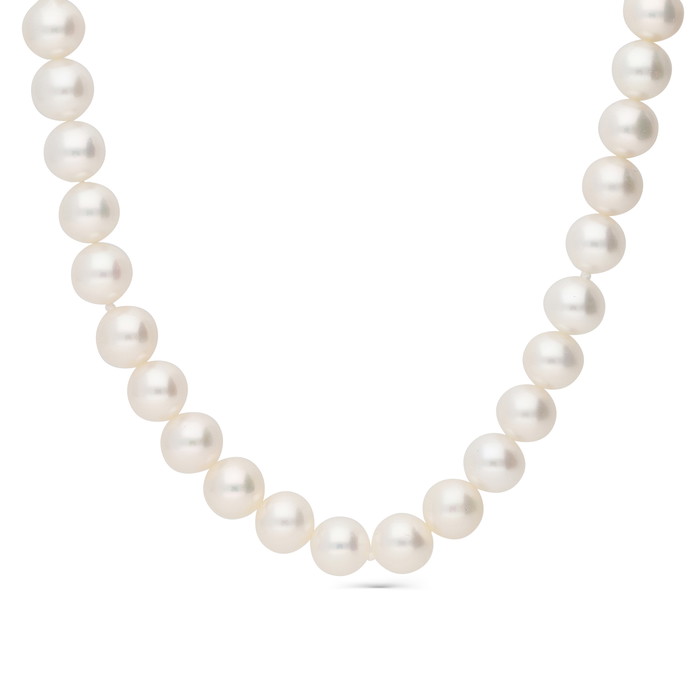 Giorgio Visconti Necklace W84685075 | GRENARDI