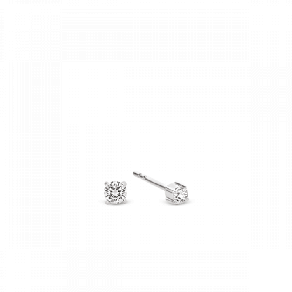 Ti Sento Auskari W78330345 | GOLDLIGHT