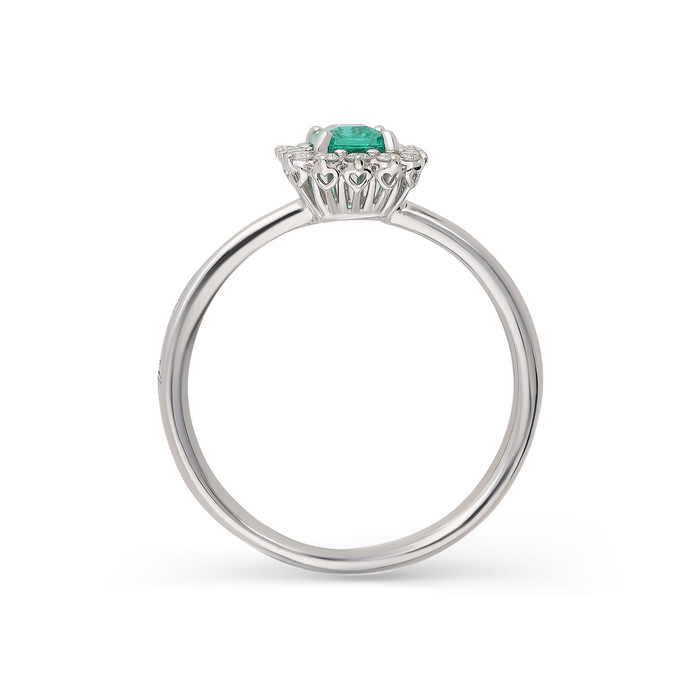 Recarlo Ring W77441040 | GRENARDI