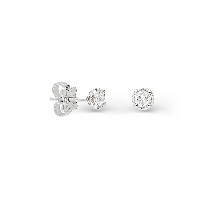 Recarlo Earrings W76729325 | GRENARDI