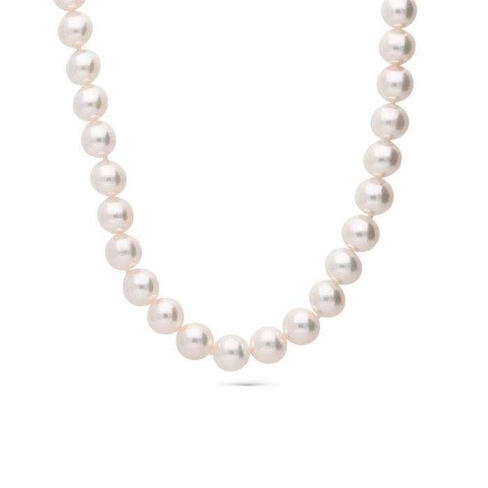 Gellner Karoliai W82356646 | GRENARDI