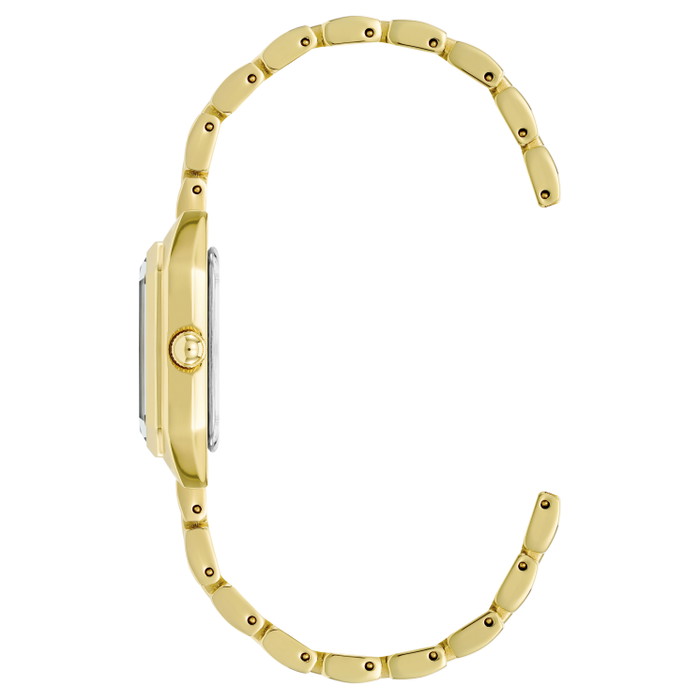 Anne Klein Pulkstenis W76454151 | GRENARDI