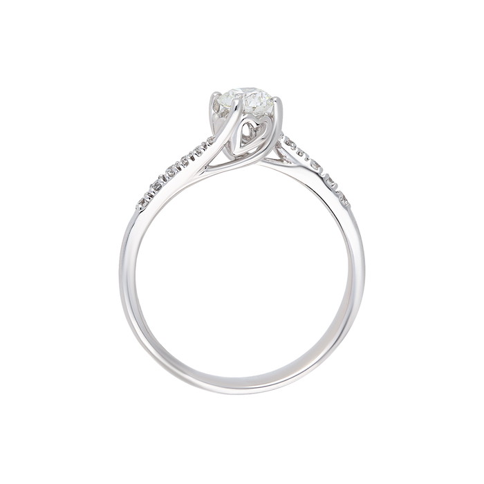 Recarlo Rings W64508509 | GRENARDI