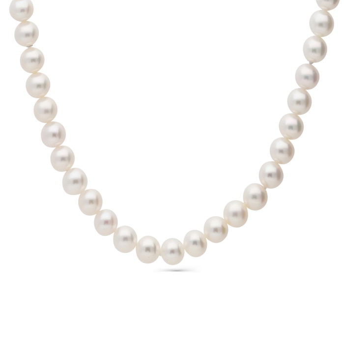 Giorgio Visconti Necklace W84685071 | GRENARDI