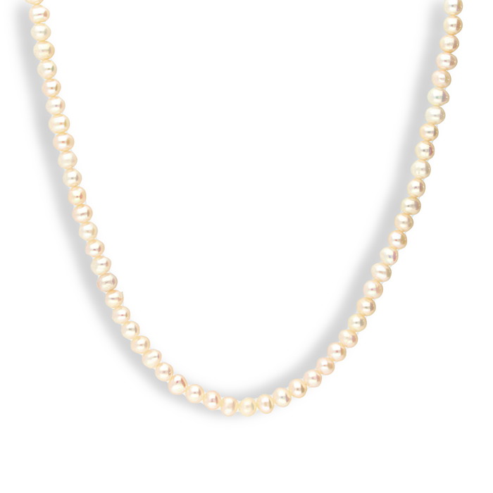 Zoye Silver Kaklarota W61363541 | GRENARDI