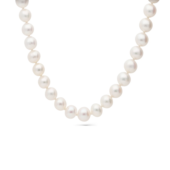Grenardi Necklace W70389489 | GRENARDI