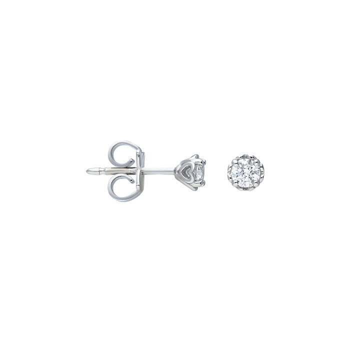 Recarlo Earrings W76729325 | GRENARDI