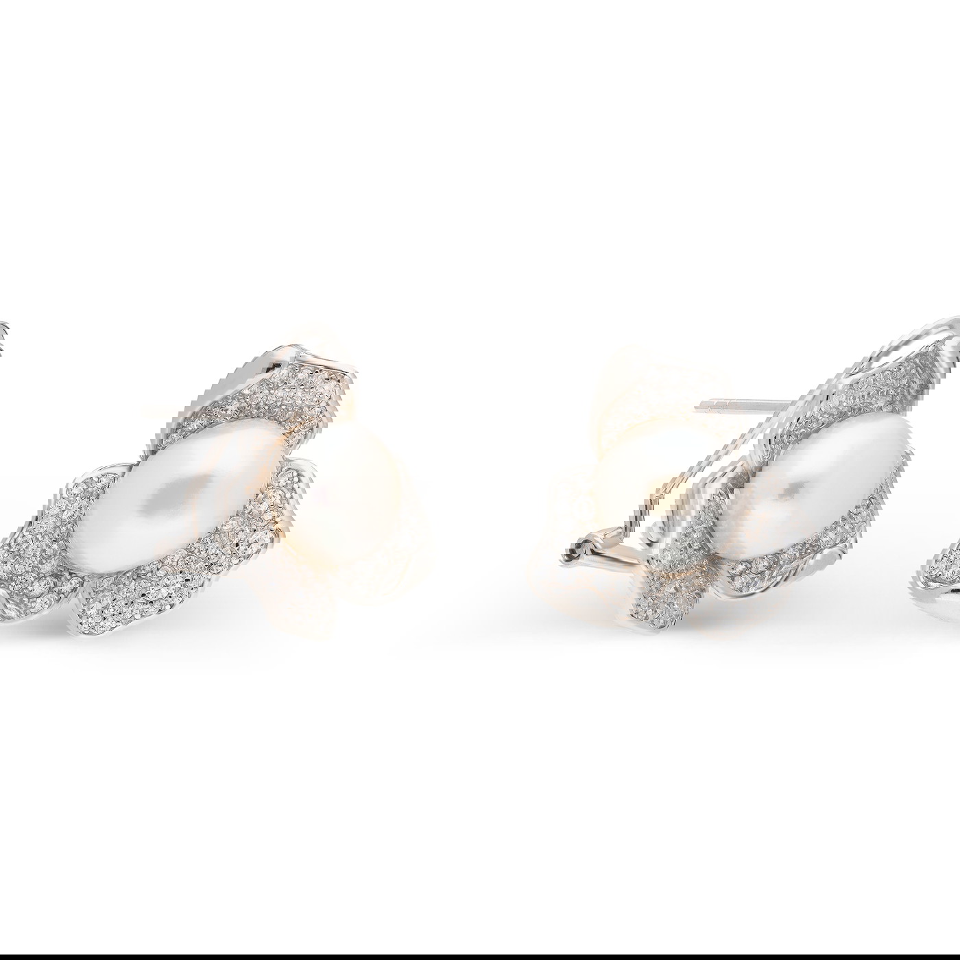 GOLDLIGHT Auskari W82233302 | GOLDLIGHT