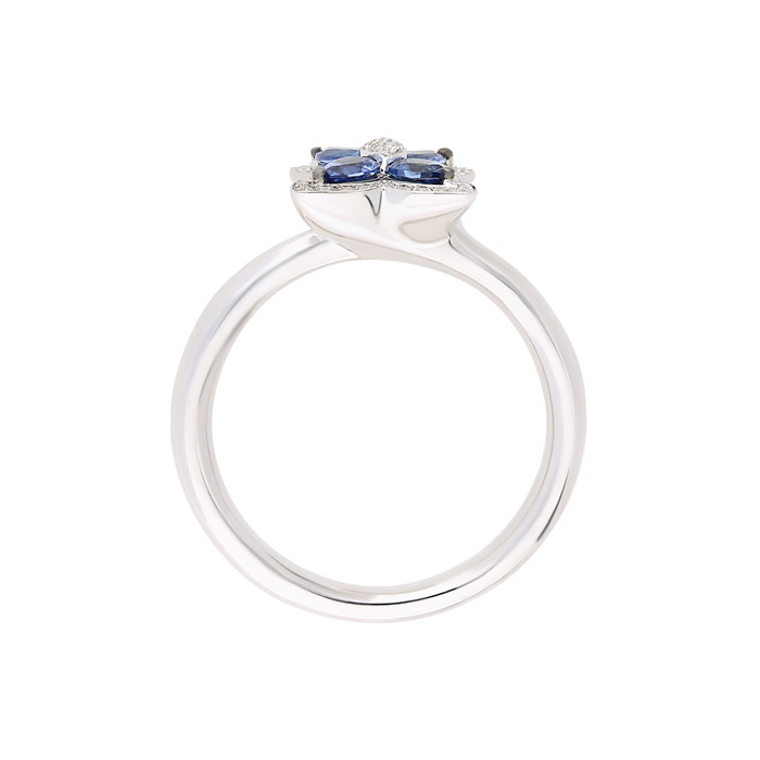 Giorgio Visconti Gredzens W55961373 | GRENARDI