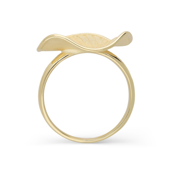 Cammilli Firenze Prsteny W80129759 | GRENARDI