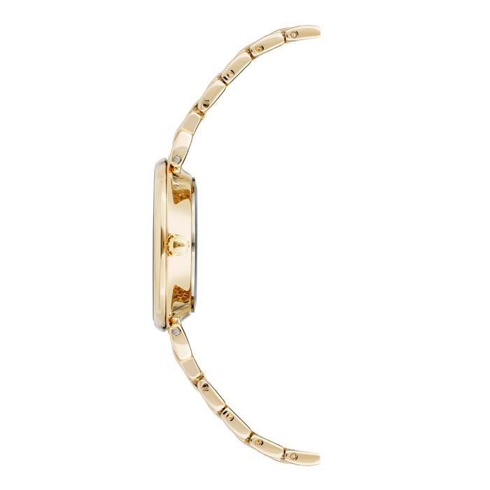 Anne Klein Pulkstenis W61246169 | GRENARDI