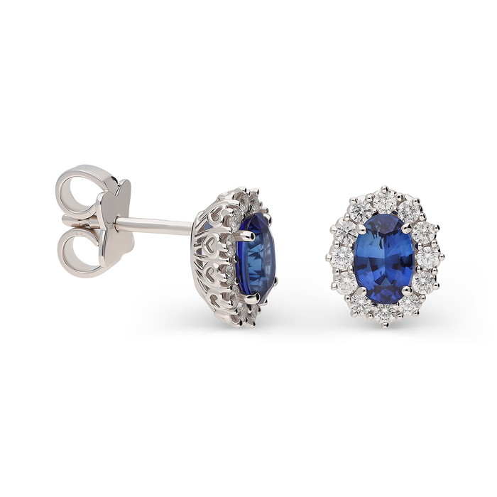 Recarlo Earrings W84973141 | GRENARDI