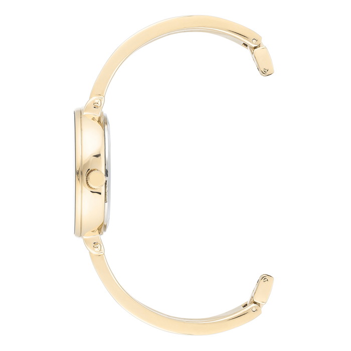 Anne Klein Pulkstenis W62135753 | GRENARDI