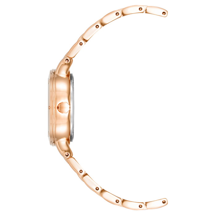 Anne Klein Pulkstenis W62875416 | GRENARDI