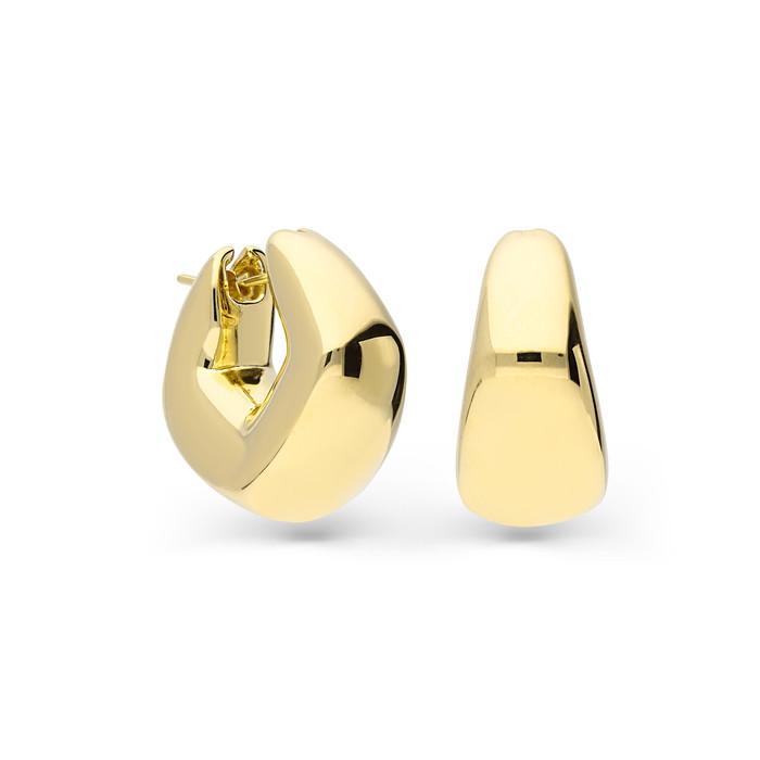 Superoro Auskarai W70441036 | GRENARDI