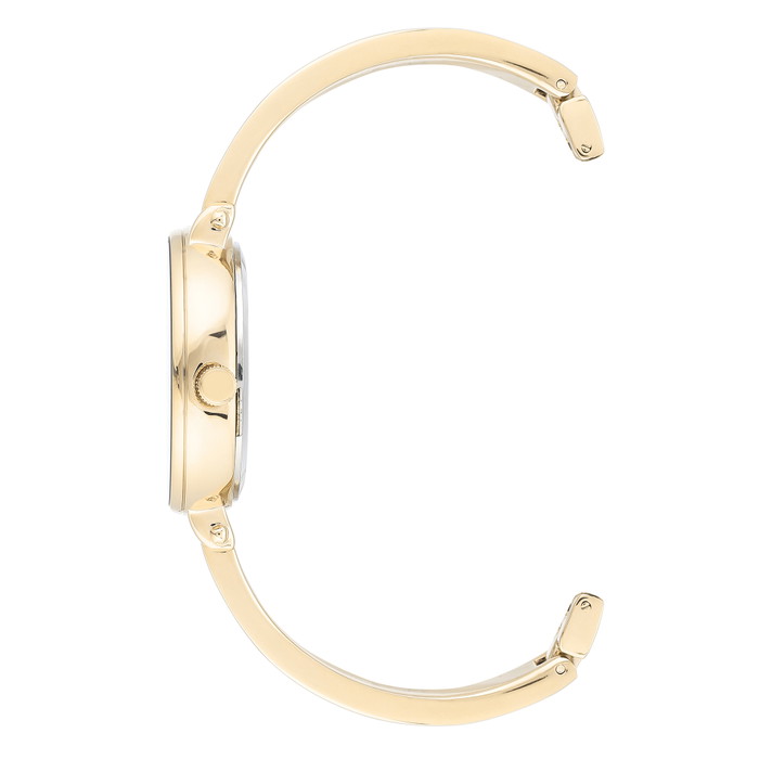 Anne Klein Pulkstenis W69523546 | GRENARDI