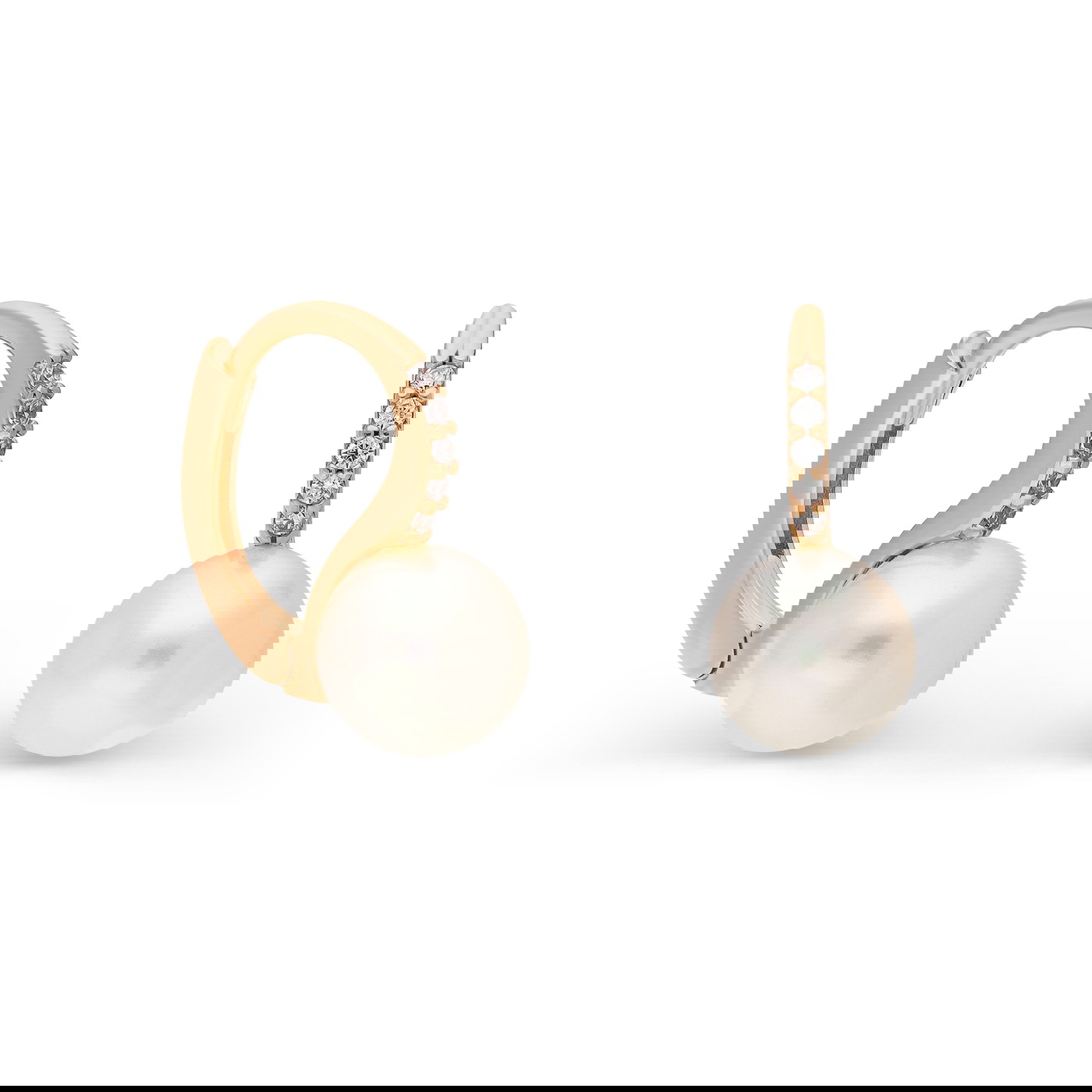 GOLDLIGHT Auskari W82234061 | GOLDLIGHT