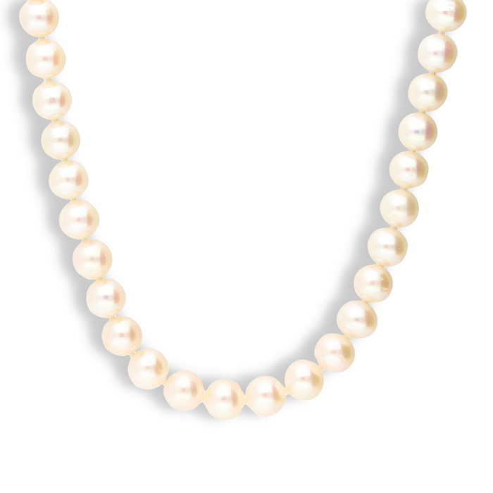 Grenardi Necklace W70389489 | GRENARDI