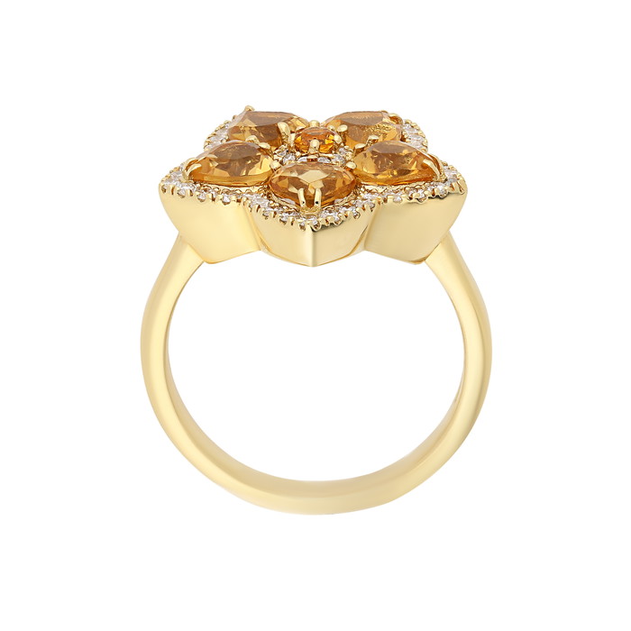 Colours Ring W21336591 | GRENARDI