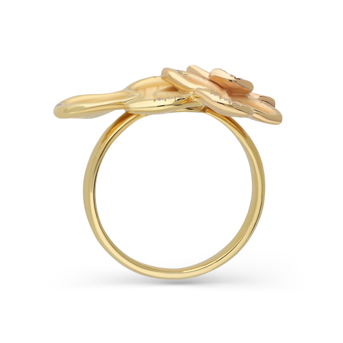 Annamaria Cammilli Žiedas W79343030 | GRENARDI