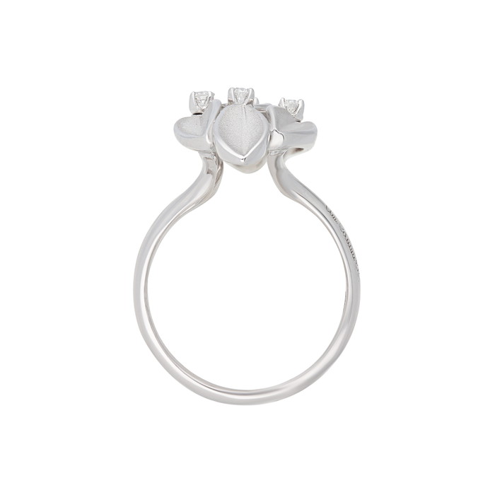 Cammilli Firenze Gredzens W64521072 | GRENARDI