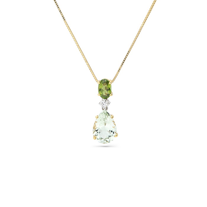 Salvini Kaklarota W22136181 | GRENARDI