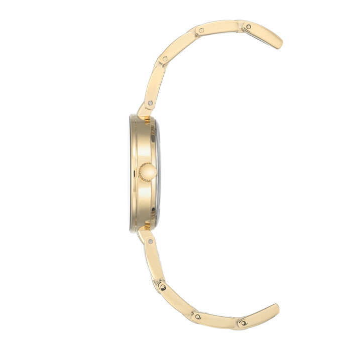 Anne Klein Pulkstenis W66361295 | GRENARDI