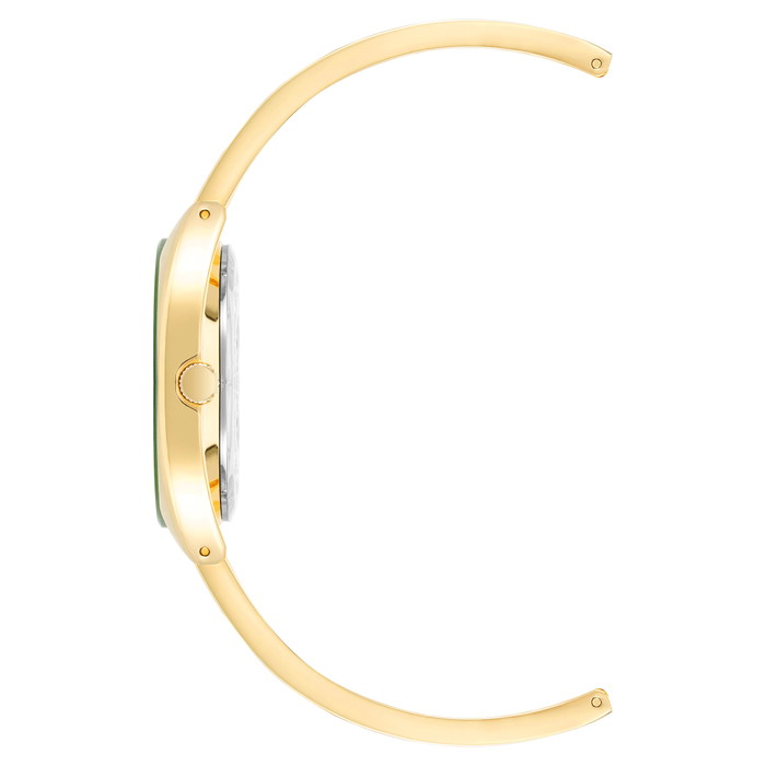 Anne Klein Pulkstenis W66874180 | GRENARDI