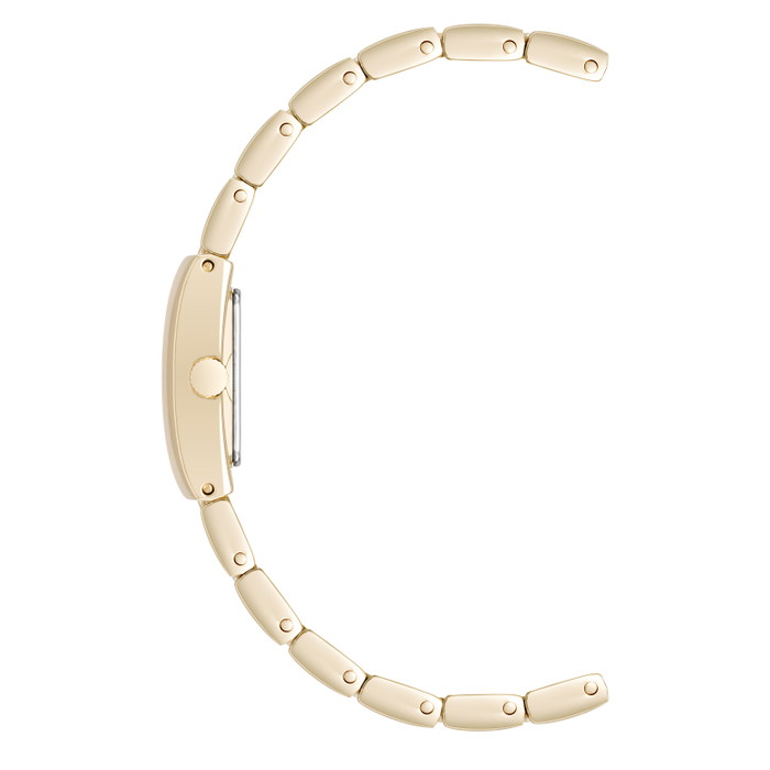 Anne Klein Pulkstenis W72501164 | GRENARDI