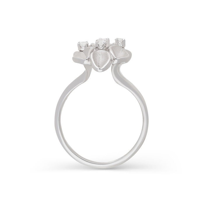 Cammilli Firenze Prsteny W80137407 | GRENARDI