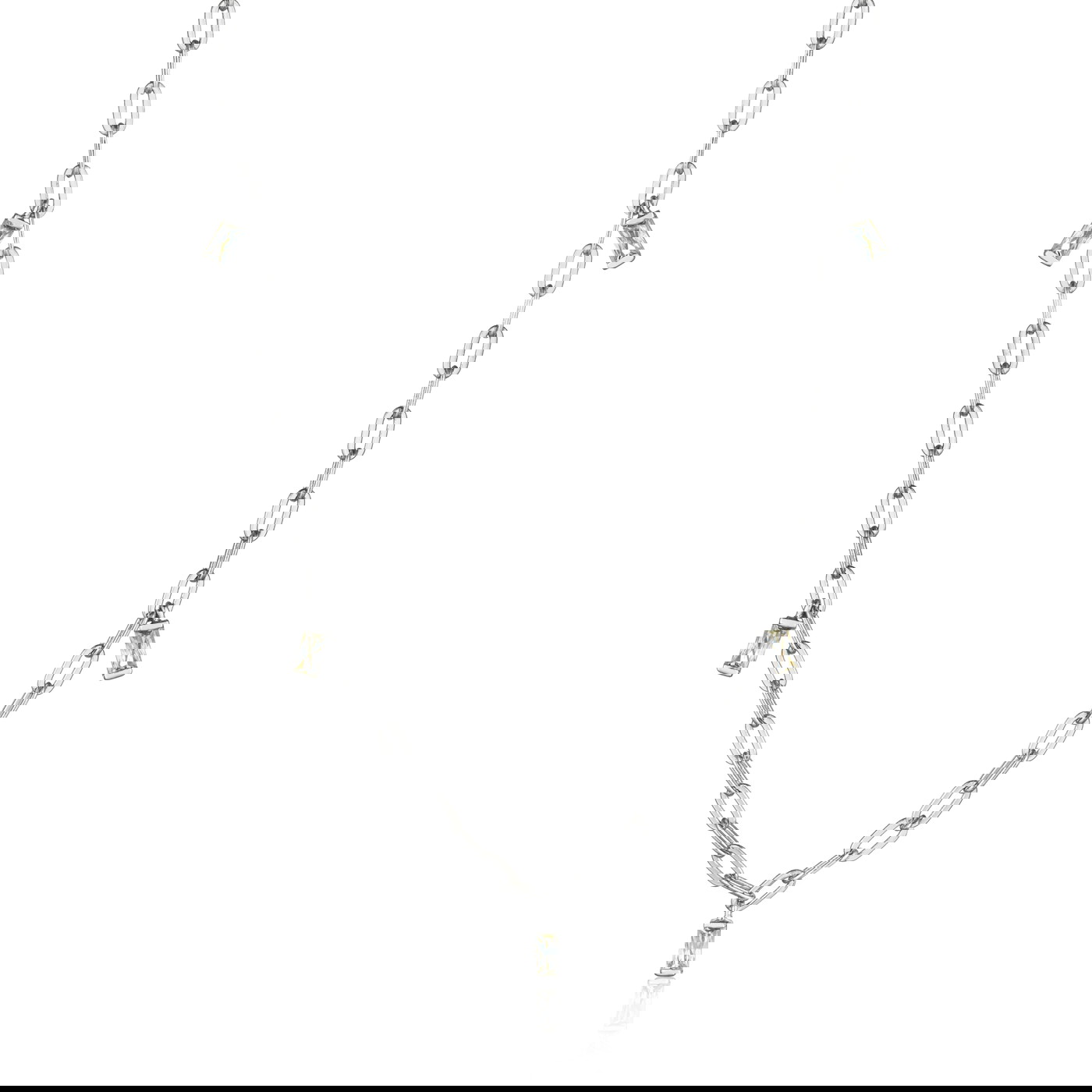 Ania Haie Kaklarota W74069888 | GOLDLIGHT