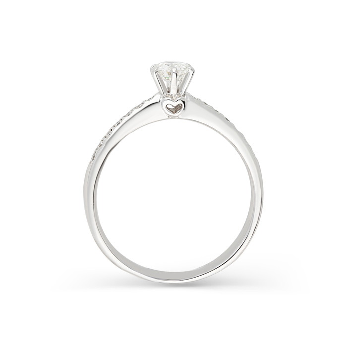 Recarlo Ring W77441011 | GRENARDI