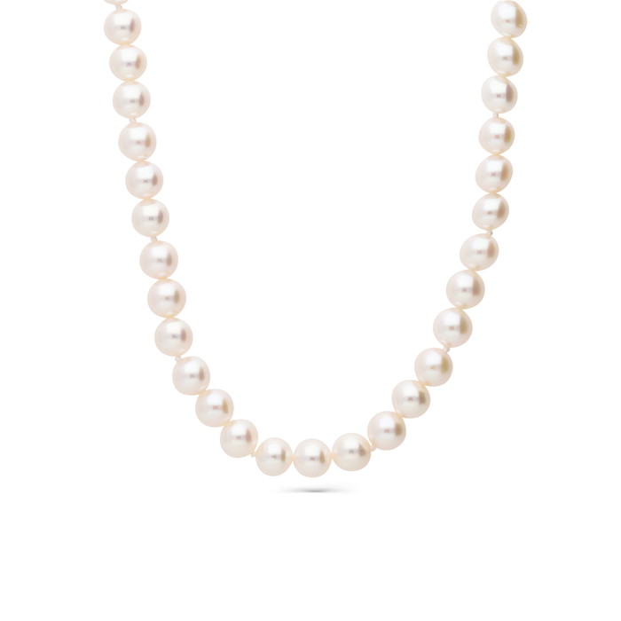 Gellner Necklace W82950888 | GRENARDI
